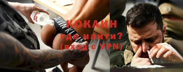 гидра Горняк