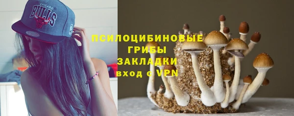 бошки Вязьма