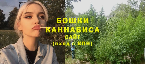 гидра Горняк