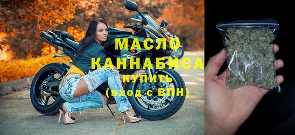 гидра Горняк