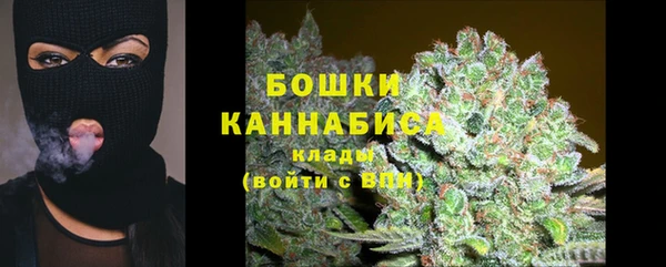 гидра Горняк