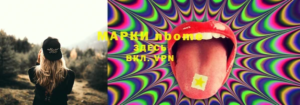 гидра Горняк